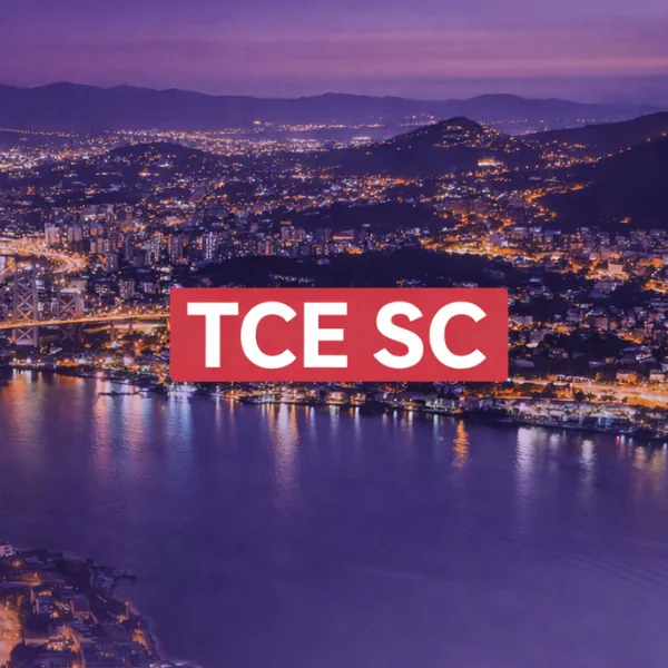 TCE SC - TURMA ESSENCIAL – 03 CORREÇÕES - DIREITO